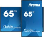 Информационная панель Iiyama LH6550UHS-B1